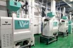 How Much Does a Corn Peeling Machine Cost? Diversified Products with Matched Auxiliary Equipment